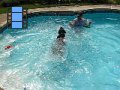 2010-07-07 hemi swimming